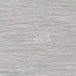 Линолеум Taralay Initial Comfort 0826 Filament Grey фото 1 | FLOORDEALER